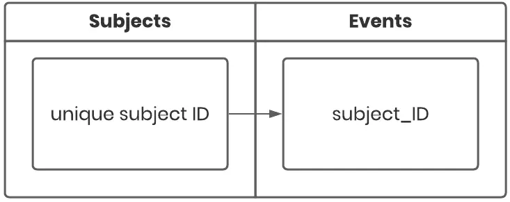 Prepare your data - Example of a subject table