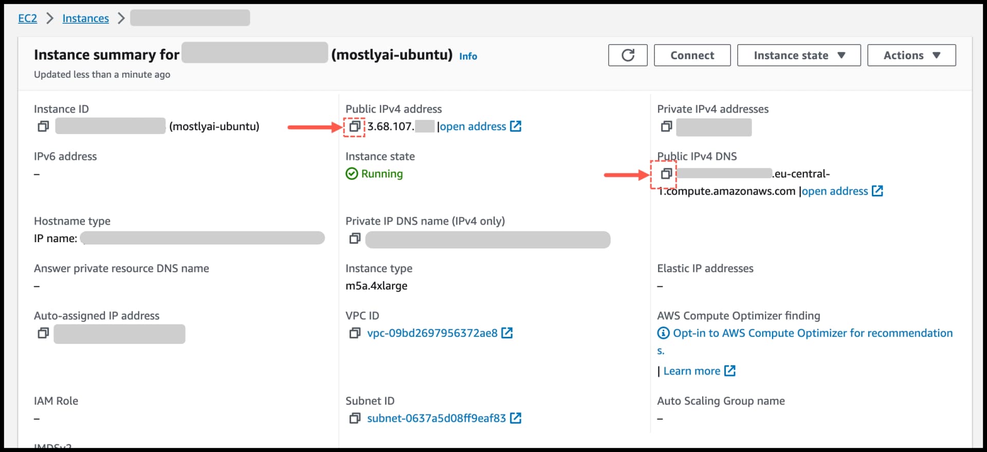 AWS - Obtain instance IPv4 or DNS name