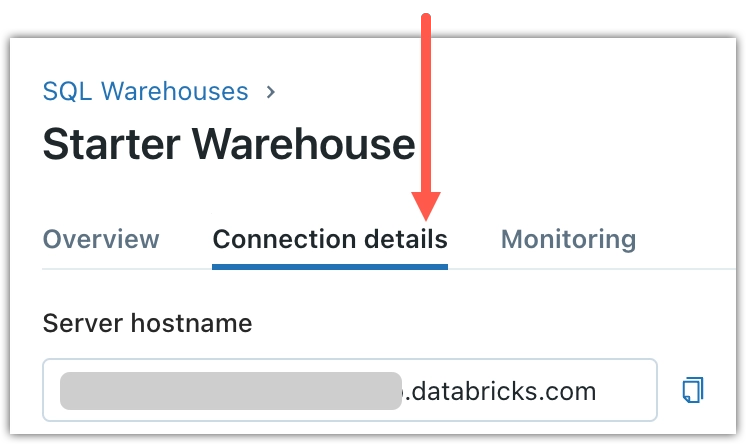 Databricks - SQL Warehouses Connection details