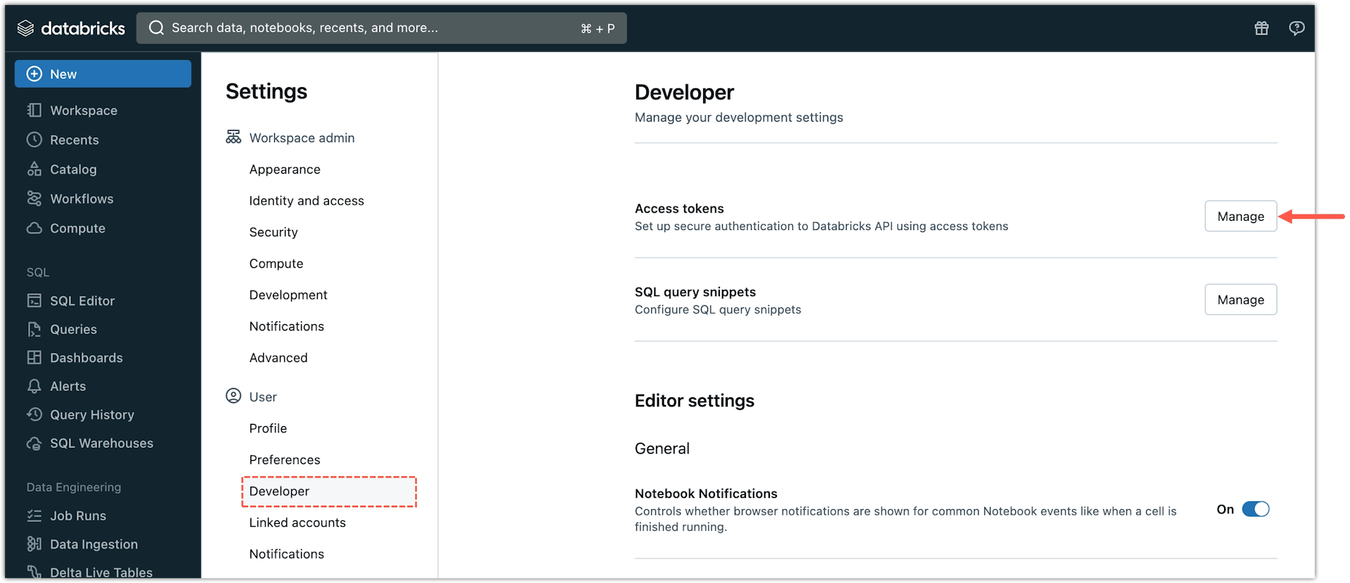 Databricks account - Select Developer and click Manage for Access Tokens